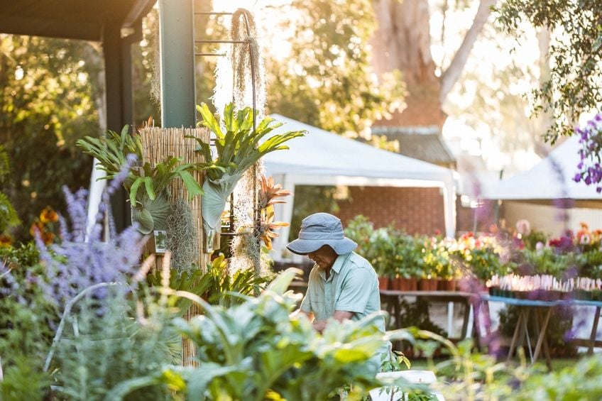 Connect Coaches Garden Tours Image -62b9924913dcb